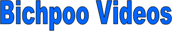 Bichpoo Videos